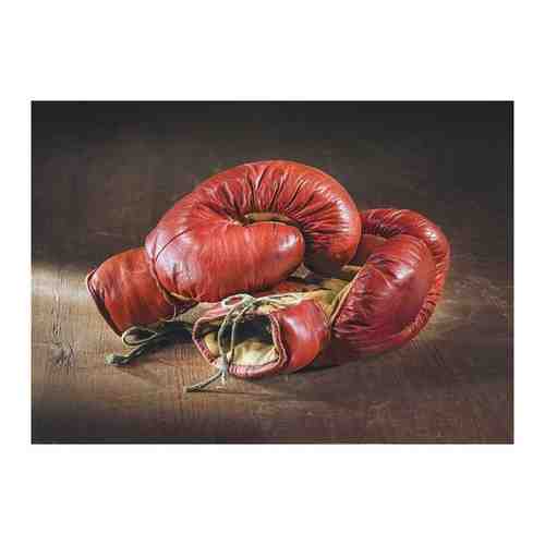 Боксерские перчатки - Виниловые фотообои, (315х225 см)