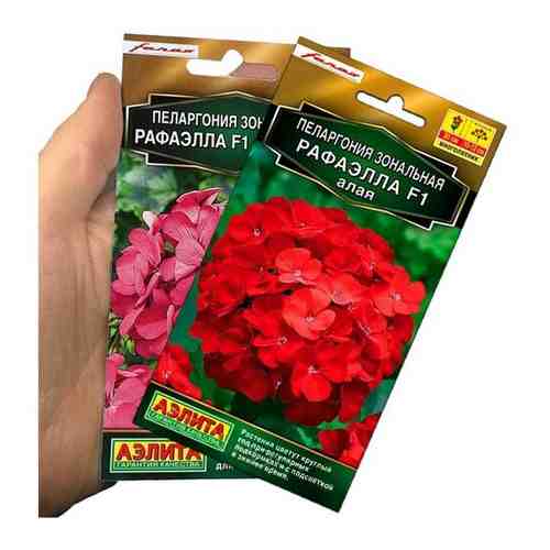 Герань набор два пакета. 10 семян. Пеларгония рафаэлло розовая и алая.