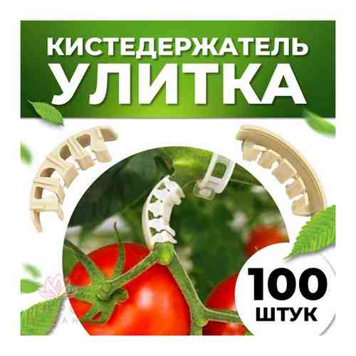 Кистедержатель для томатов улитка 100 штук / Клипсы для опоры и поддержки кистей