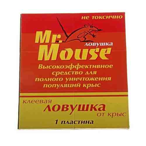 Клеевая ловушка MR. MOUSE от крыс и других грызунов книжка