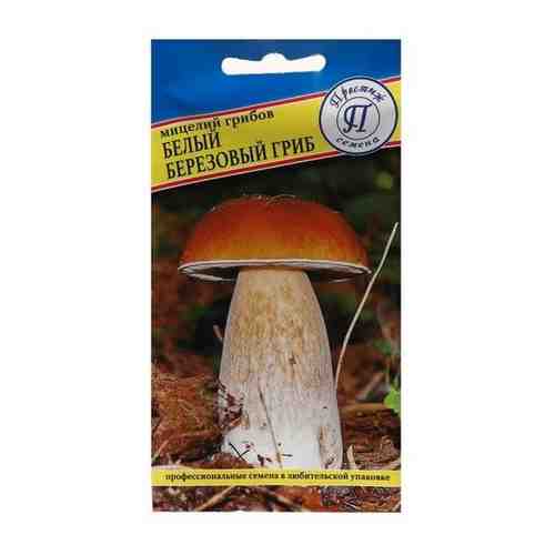 Мицелий грибов Белый гриб березовый , 60 мл