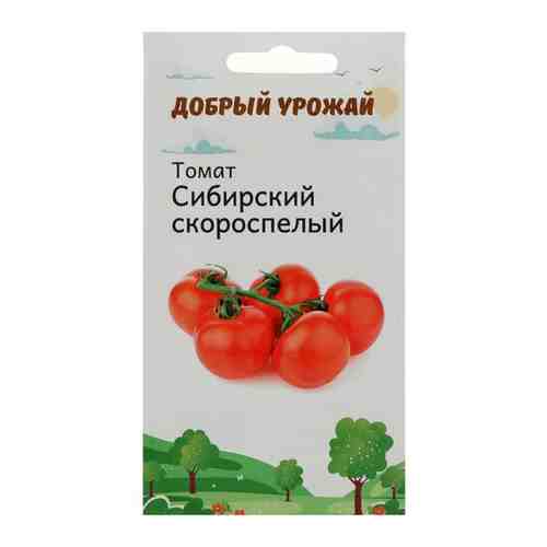 Семена Томат Сибирский скороспелый 0.5 гр, 7 шт.