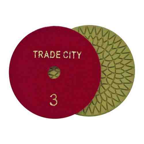 Алмазный гибкий шлифовальный круг TRADECITY Цветочек Pads 4-STEP 100D №3