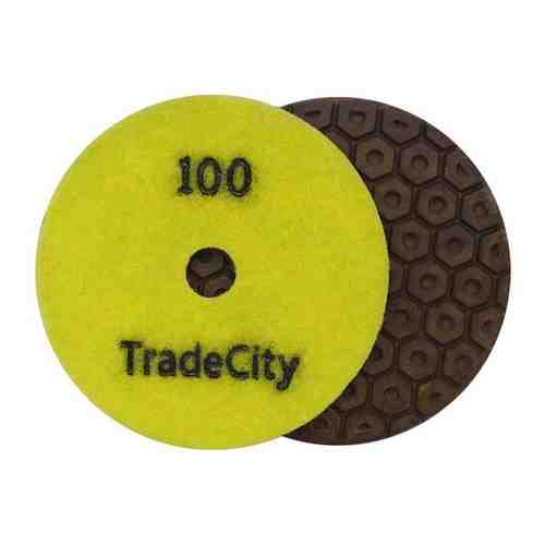 Алмазный гибкий шлифовальный круг TRADECITY Усиленный Гайка №100 Pads 4-STEP 100D