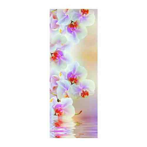 Фотообои Milan Светлая орхидея, M 101, 100х270 см, виниловые на флизелиновой основе
