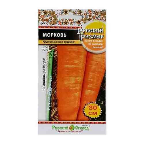 Морковь Русский размер