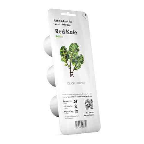 Набор картриджей для умного сада Click and Grow Refill 3-Pack Красная капуста Кале (Red Kale)