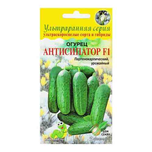Огурец Антисипатор F1, 6 семян