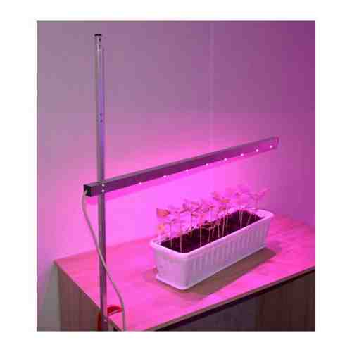 Светильник для растений с регулировкой высоты и креплением к столу 
