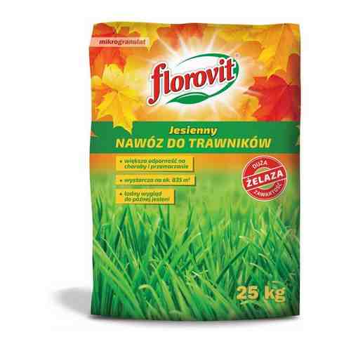 Удобрение Florovit для газона осенний - 25 кг (Комплект из 1 шт. упаковок)