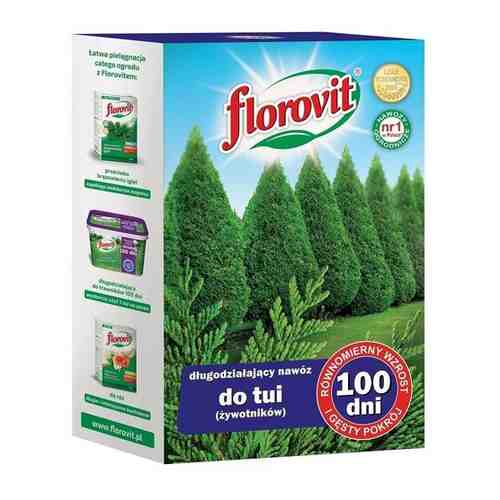 Удобрения Florovit длительного действия для туи 100 дней - 1 кг (Комплект из 4 шт. упаковок)