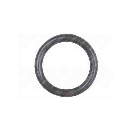 Уплотнительное кольцо (10 шт.) Protherm арт. 0020047026