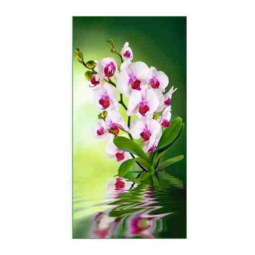 Фотообои Тула VIP Орхидея 6 листов 134*261 см