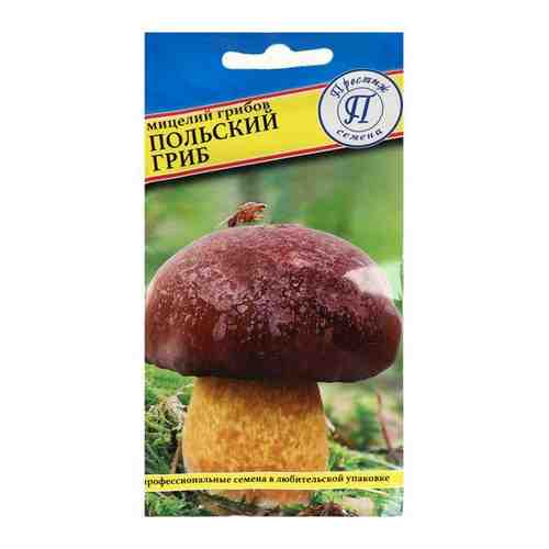 Мицелий грибов Польский гриб, 60 мл