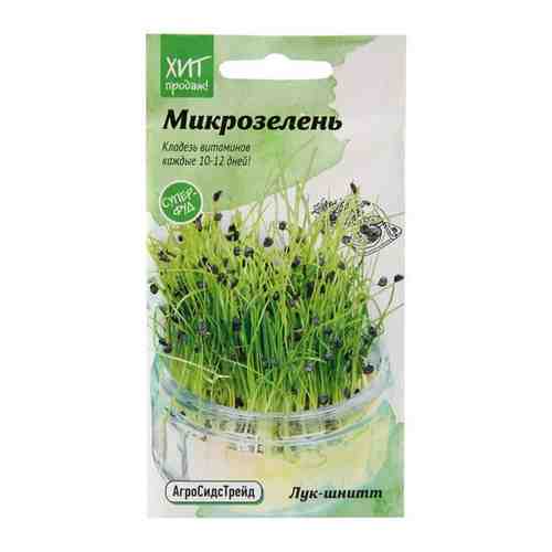 Микрозелень Лук шнитт для проращивания АСТ / семена для выращивания микрозелени / семена зелени для дома / для балкона / зелень на подоконнике