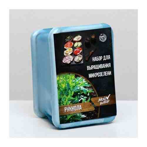 Набор для выращивания на балконе микрозелени Руккола./В упаковке шт: 1