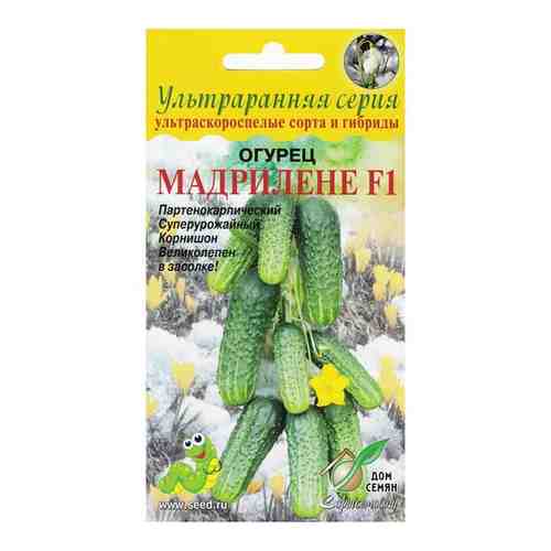 Огурец Мадрилене F1, 6 семян