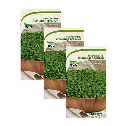Семена Микрозелень Кориандр Зеленый 5гр Садовита (3 пакета)